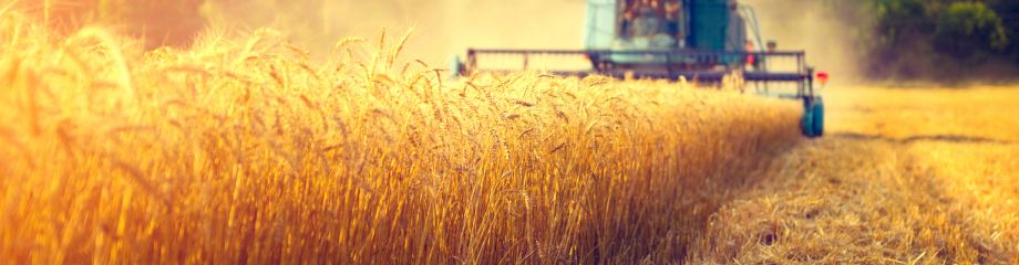 3C Agro Conseil