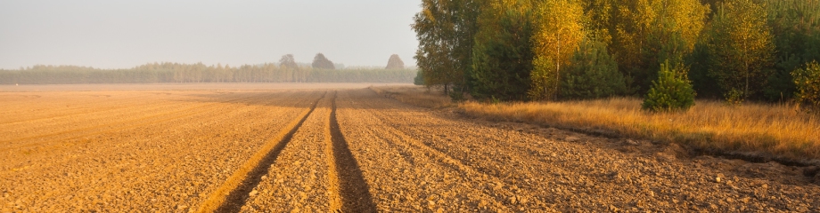 3C Agro Conseil